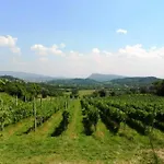 Farnia A 3km Da Garda * Castion Veronese