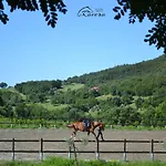 Daire Farnia A 3km Da Garda