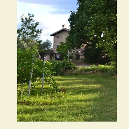 Farnia A 3km Da Garda